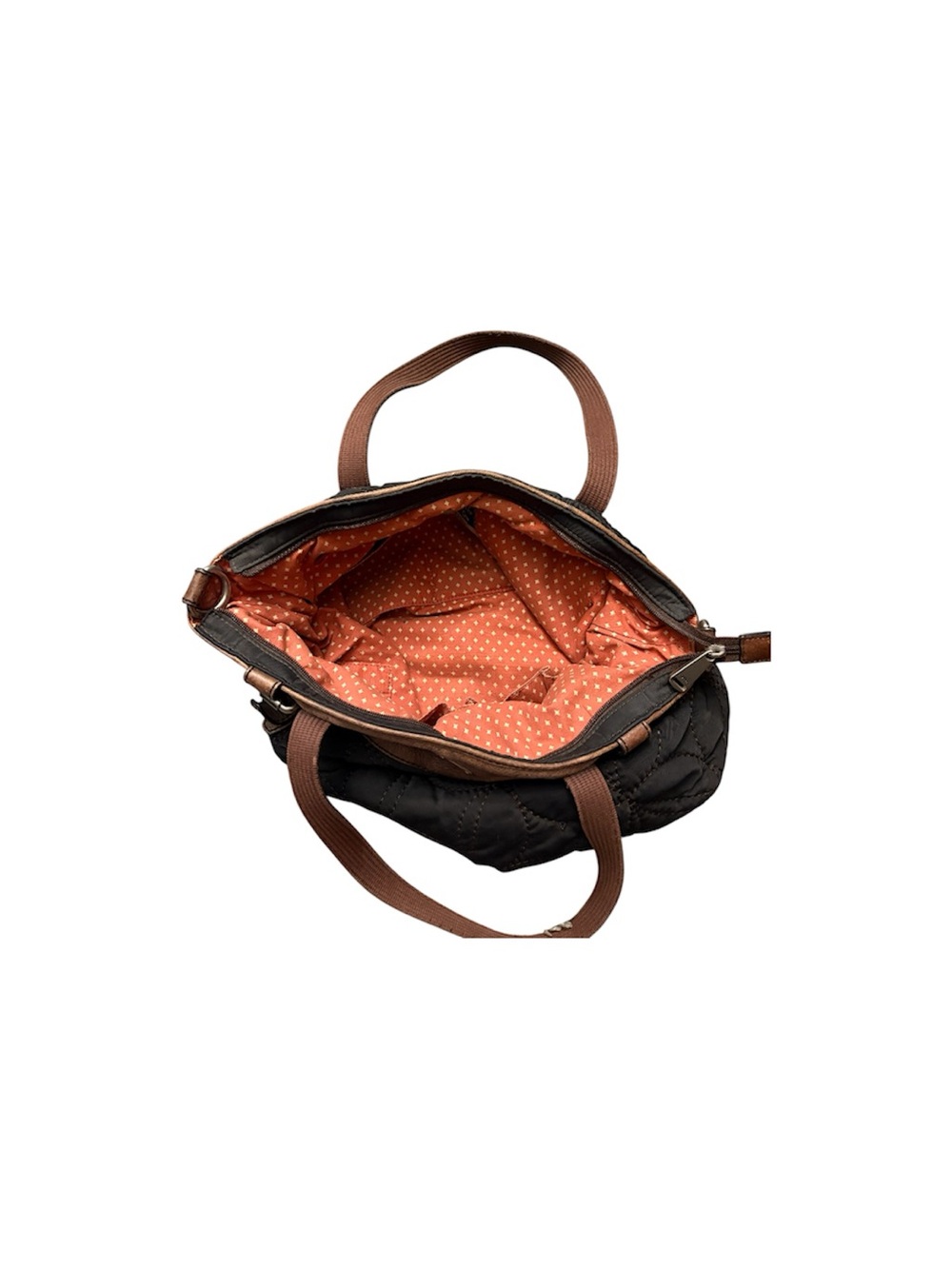 Fossil bundle - Picture 3 of 5